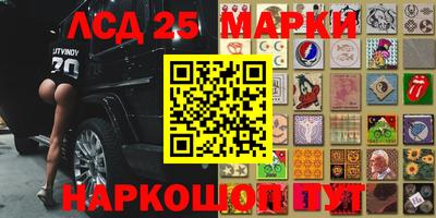 гидра Кандалакша