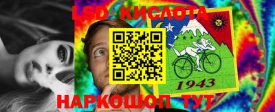 гидра Кандалакша