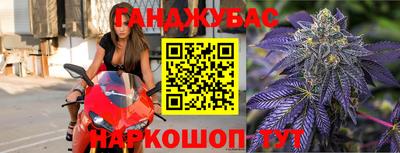 гидра Кандалакша