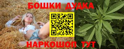 гидра Кандалакша